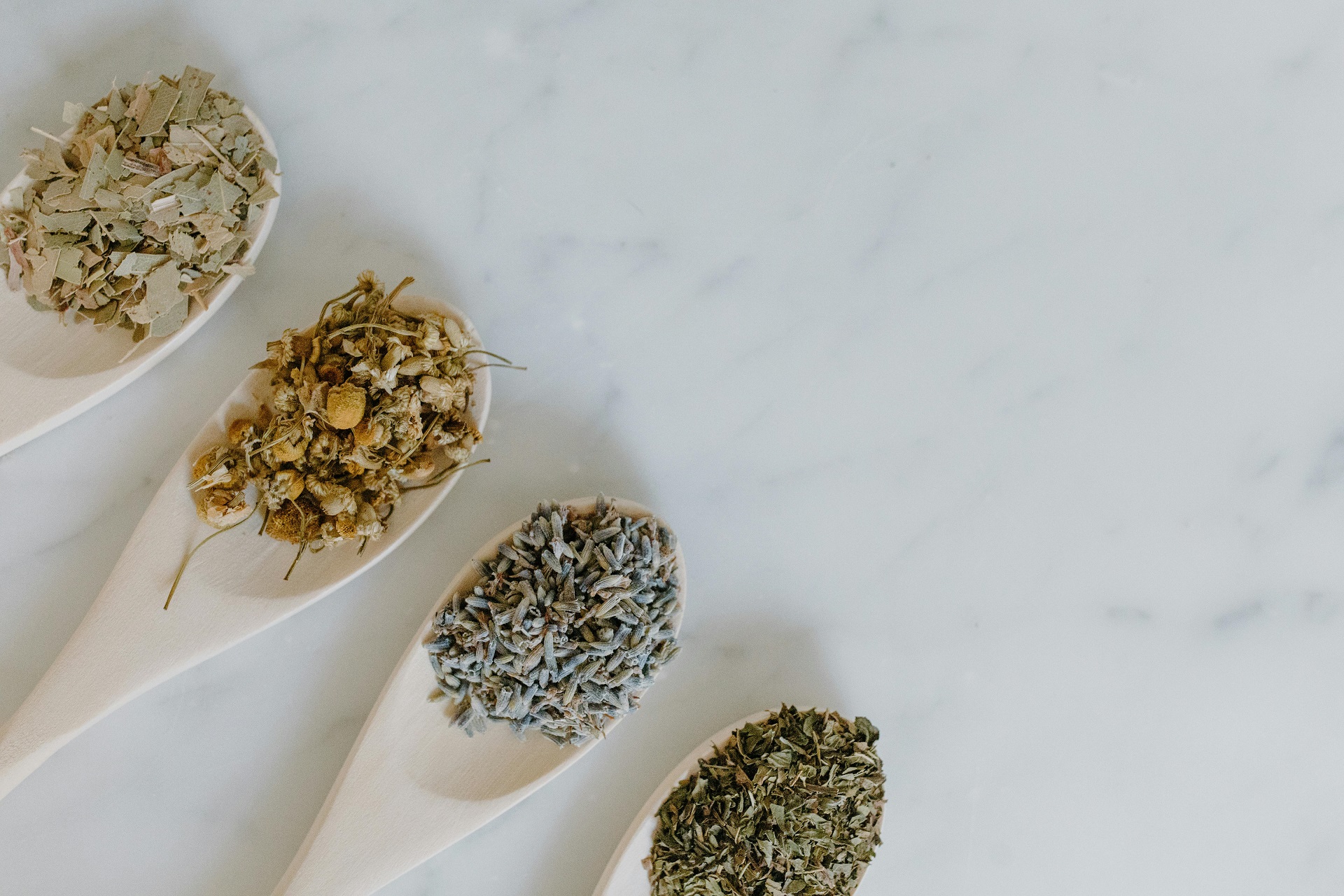 naturopatia4.jpg